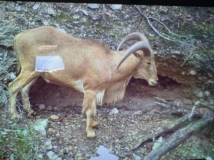 Land in Edwards County, Texas