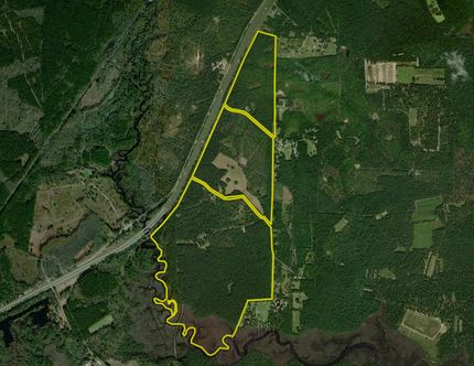 Timberland Property in Jasper County, South Carolina