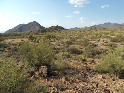Timberland Property in Mohave County, Arizona