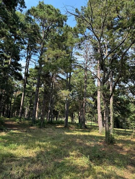 Recreational Property for sale in Nacogdoches County, Texas