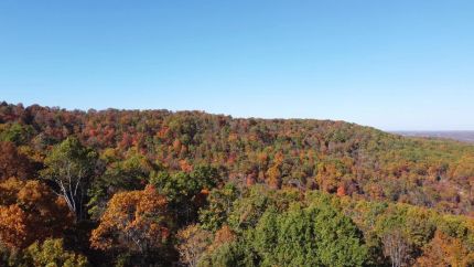 Undeveloped Land in Boone County, Arkansas