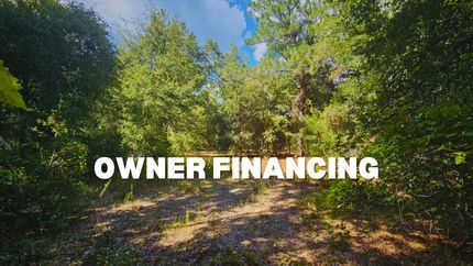 Undeveloped Land in Citrus County, Florida