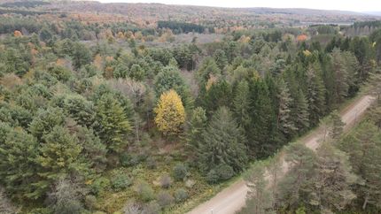 Undeveloped Land in Allegany County, New York