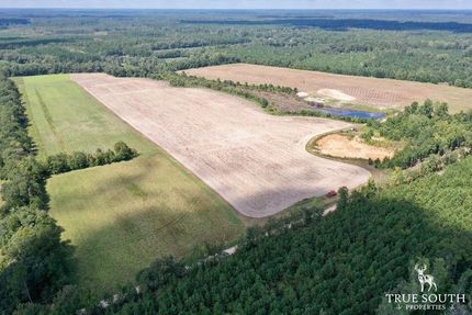 Farm and Ranch in Hampton County, South Carolina