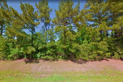 Undeveloped Land in Harrison County, Texas