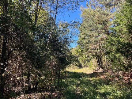 Recreational Property in Madison County, Virginia