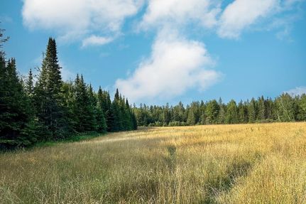 Farm and Ranch in Ashland County, Wisconsin