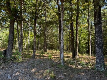 Land for sale in Hardeman County, Tennessee