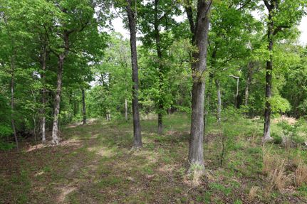 Undeveloped Land in Baxter County, Arkansas
