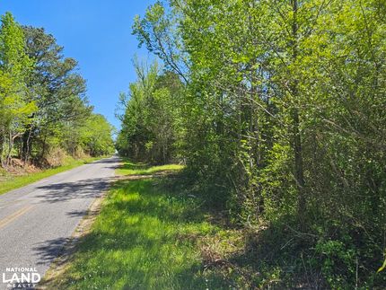 Undeveloped Land in Marion County, Alabama