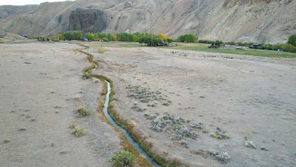 Undeveloped Land in Custer County, Idaho