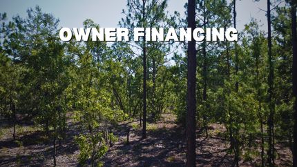 Undeveloped Land in Putnam County, Florida