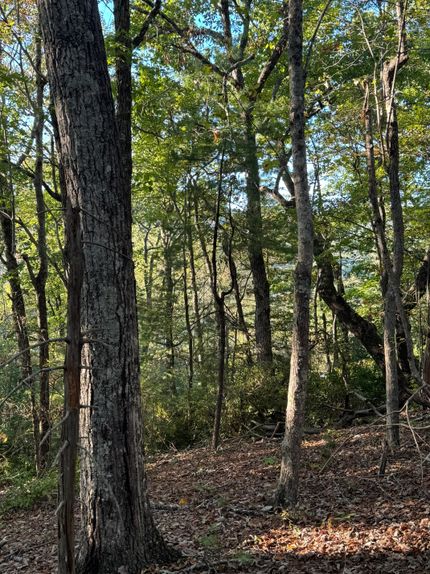 Land for sale in Bledsoe County, Tennessee