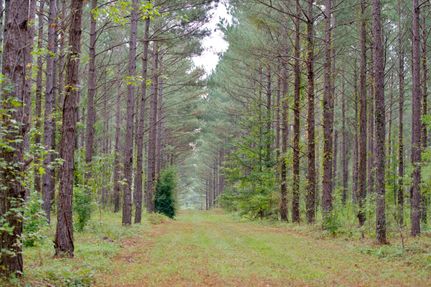 Farm and Ranch in Edgefield County, South Carolina