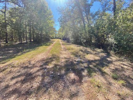 Undeveloped Land for sale in Houston County, Texas