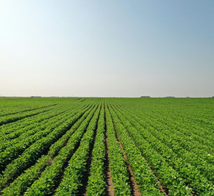 Land in Barnes County, North Dakota