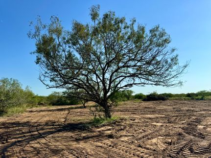 Farm and Ranch in Duval County, Texas