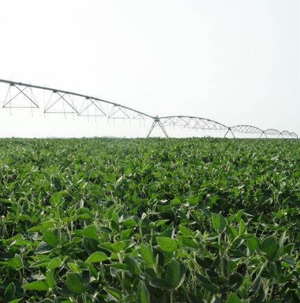 Land in Cass County, North Dakota