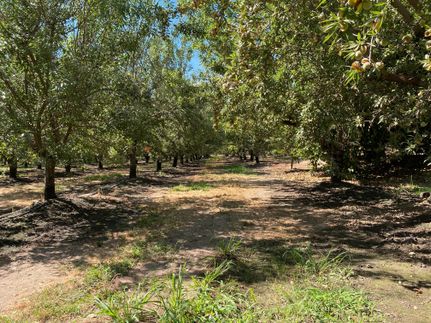 Land in San Joaquin County, California