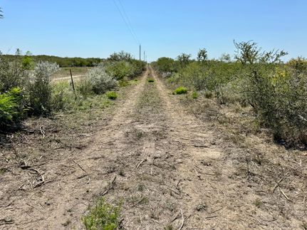 Recreational Property in Jim Wells County, Texas