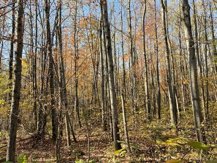 Recreational Property in Langlade County, Wisconsin