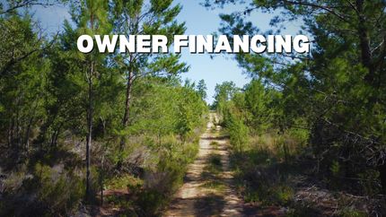 Undeveloped Land in Putnam County, Florida