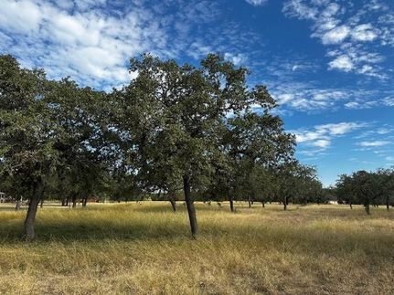 Timberland Property in Bandera County, Texas
