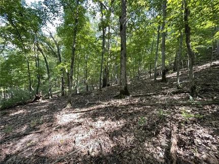 Undeveloped Land in Benton County, Missouri