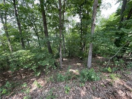 Waterfront Property in Benton County, Missouri