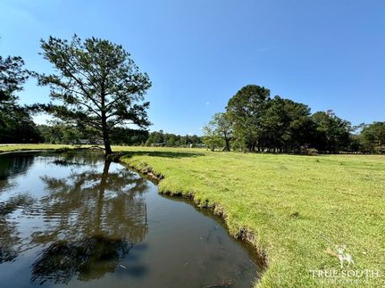 Timberland Property in Hampton County, South Carolina