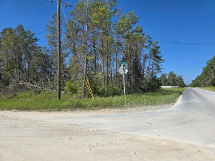 Farm and Ranch in Taylor County, Florida