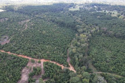Undeveloped Land in Gregg County, Texas