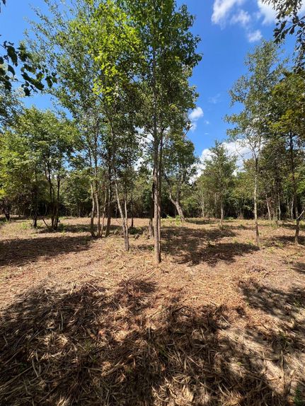 Undeveloped Land in Smith County, Texas