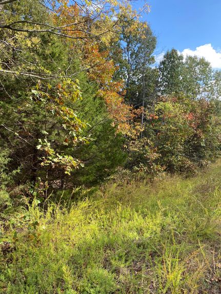 Undeveloped Land in Izard County, Arkansas