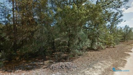 Undeveloped Land in Putnam County, Florida