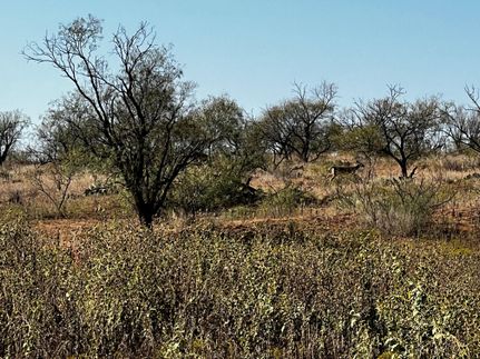 Hunting Property for sale in Collingsworth County, Texas