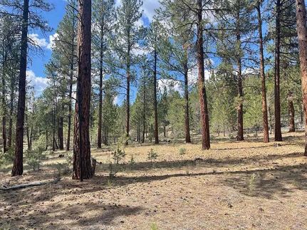 Undeveloped Land in Klamath County, Oregon