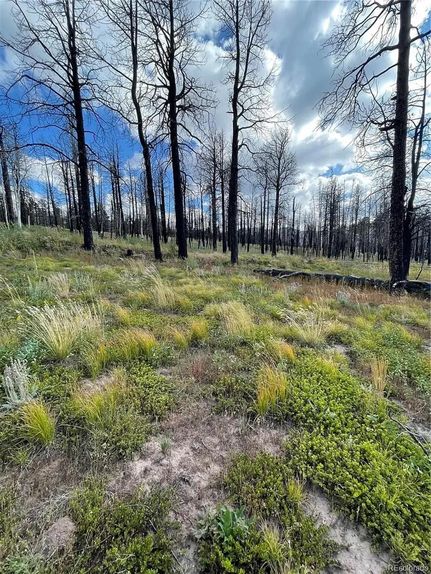 Lakefront Property in Costilla County, Colorado