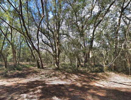 Farm and Ranch in Putnam County, Florida