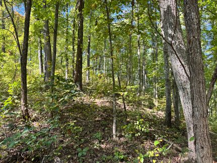 Recreational Property in Clay County, Kentucky