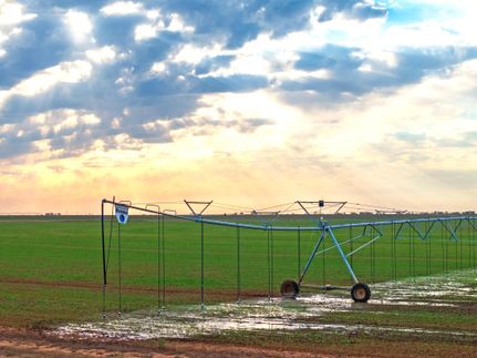 Land in Parmer County, Texas