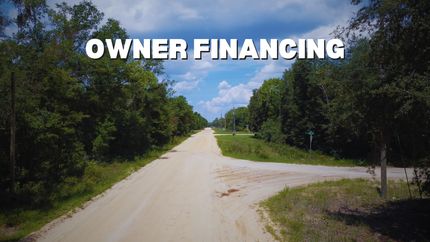 Undeveloped Land in Putnam County, Florida