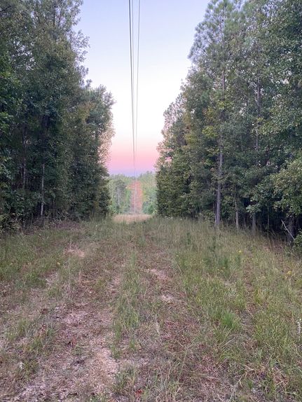 Farm and Ranch in Chilton County, Alabama