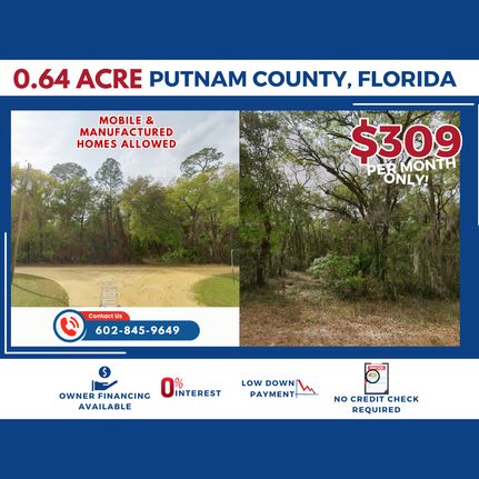Undeveloped Land in Putnam County, Florida