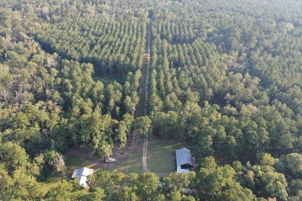 Timberland Property in Livingston Parish, Louisiana