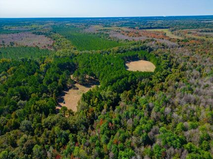 Hunting Property for sale in Macon County, Georgia