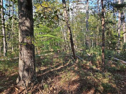 Undeveloped Land in Haralson County, Georgia
