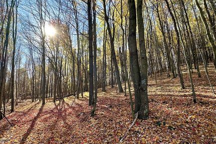 Farm and Ranch in Dunn County, Wisconsin
