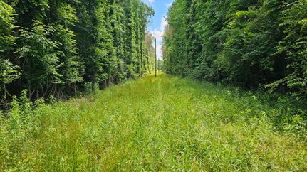 Farm and Ranch in Oktibbeha County, Mississippi