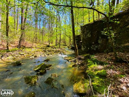 Farm and Ranch in Walker County, Alabama